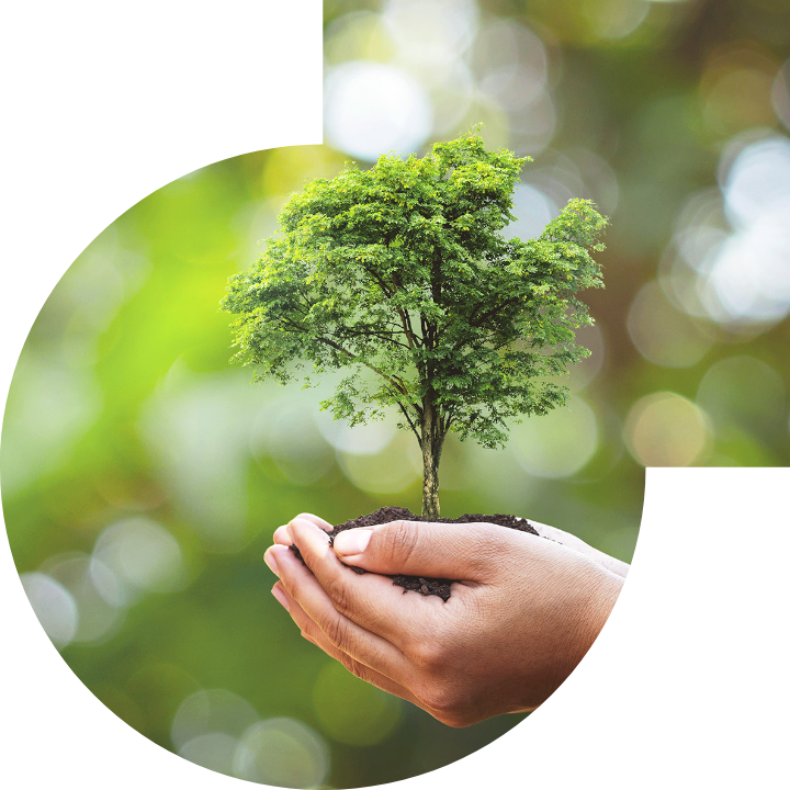 關懷人類、文化、環境與社會